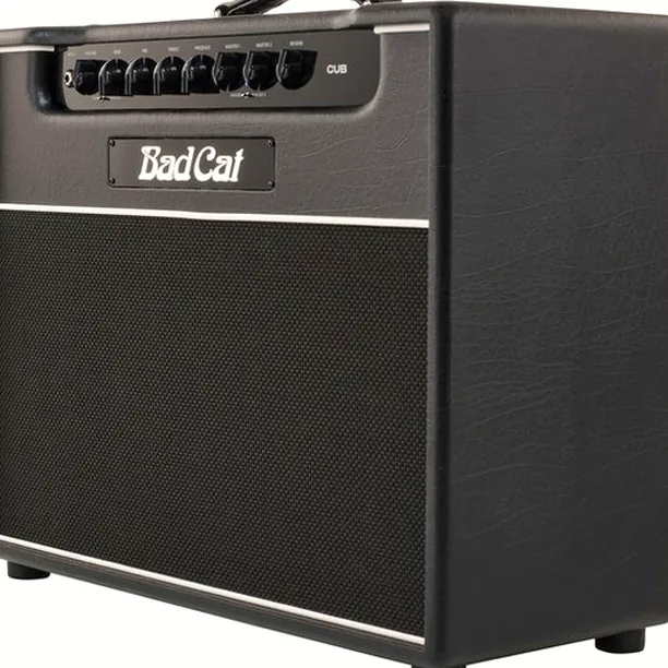 Bad Cat Cub 1×12 Combo Recension: Vår ärliga åsikt & test