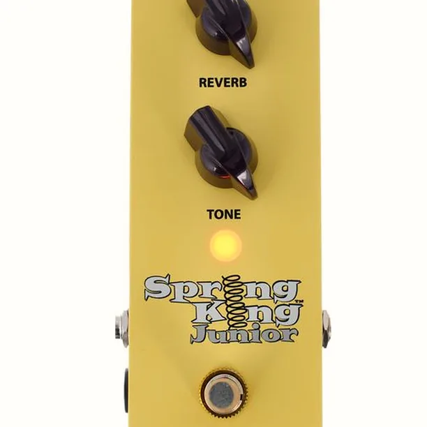 Danelectro SKJ-1 Spring King Junior Test: Allt du behöver veta innan du köper