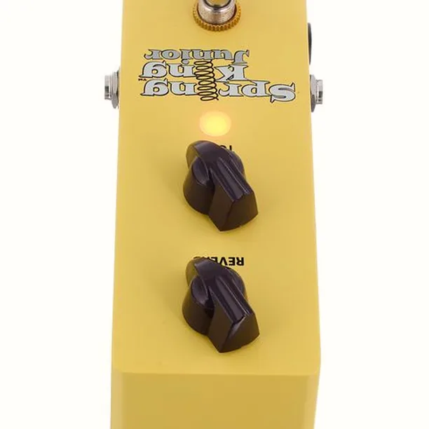 Danelectro SKJ-1 Spring King Junior Test: Allt du behöver veta innan du köper