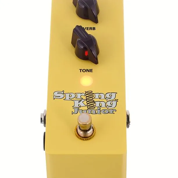 Danelectro SKJ-1 Spring King Junior Test: Allt du behöver veta innan du köper