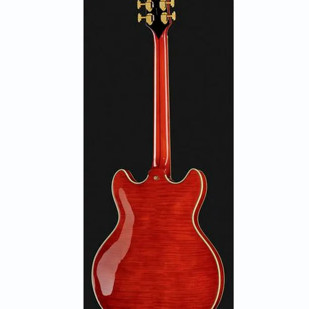 DAngelico Excel DC Viola – Elgitarr Recension