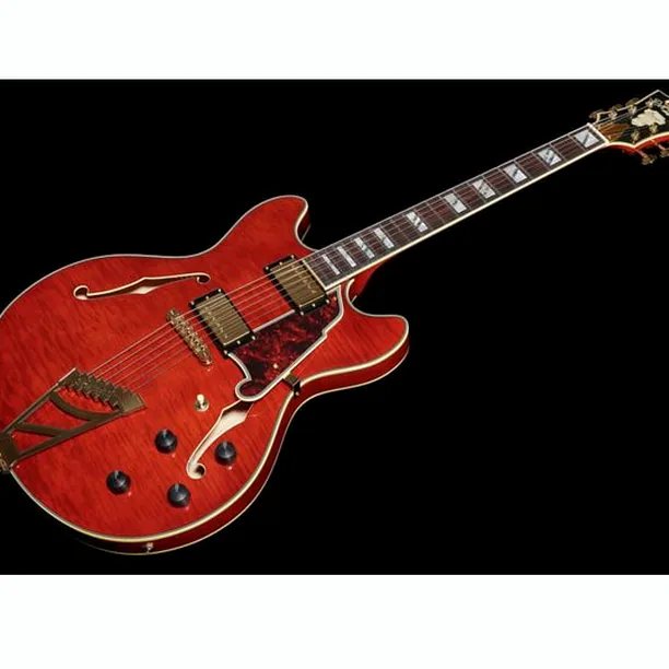DAngelico Excel DC Viola – Elgitarr Recension