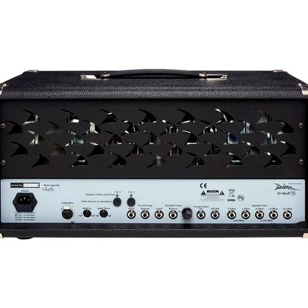 Diezel D-Moll EL34 Classic Head Recension: Toppljud till ett skarpt pris?