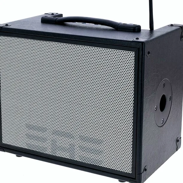 Elite Acoustics D6-58 Acoustic Amplifier Test: Fullständig analys & demo
