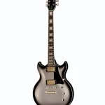 ESP LTD Royal Shiva Silver SB – Elgitarr Recension
