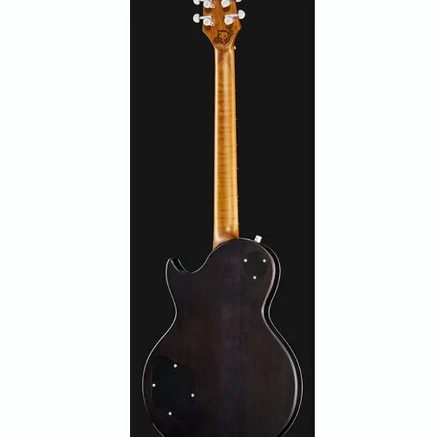 Harley Benton Agufish Custom Signature PB – Elgitarr Recension