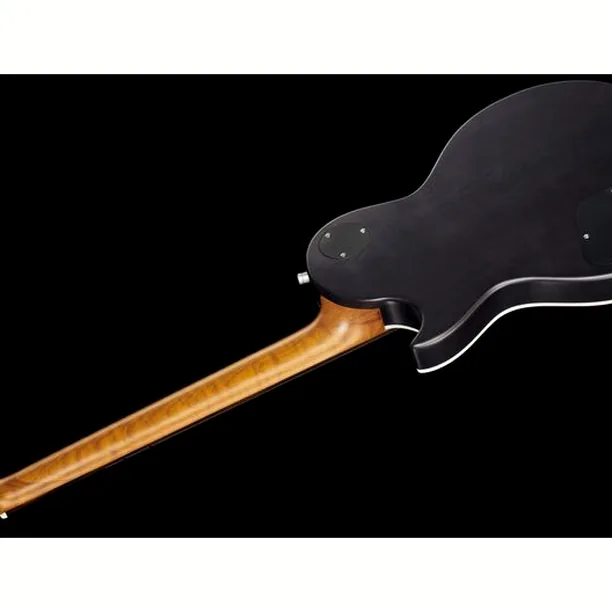 Harley Benton Agufish Custom Signature PB – Elgitarr Recension