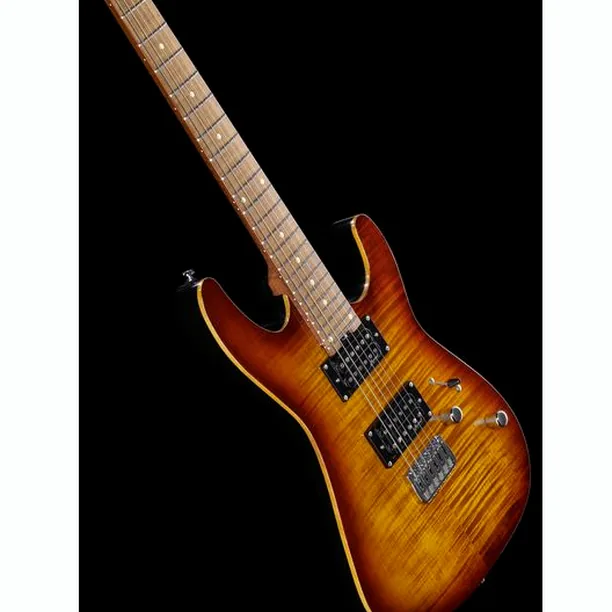 Harley Benton Fusion-III HH HT Roasted FBB – Elgitarr Recension