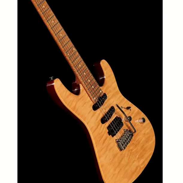 Harley Benton Fusion-III HSS Roasted FNT – Elgitarr Recension