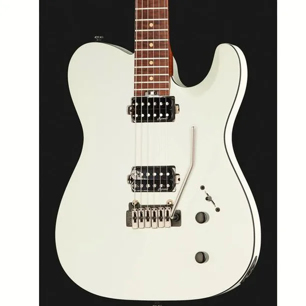 Harley Benton Fusion-T HH Roasted SW – Elgitarr Recension
