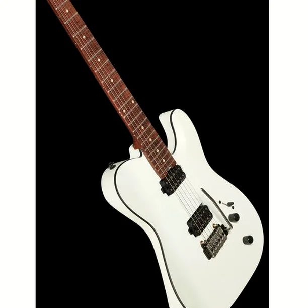 Harley Benton Fusion-T HH Roasted SW – Elgitarr Recension