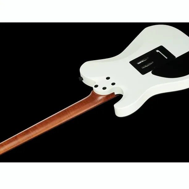 Harley Benton Fusion-T HH Roasted SW – Elgitarr Recension
