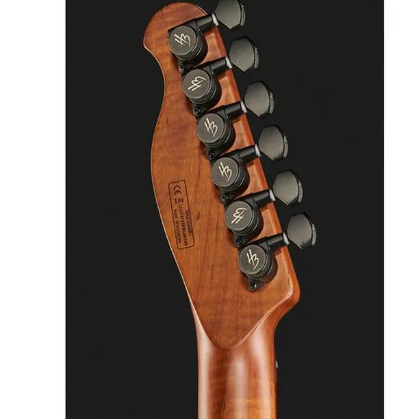 Harley Benton Fusion-T HH Roasted SW – Elgitarr Recension