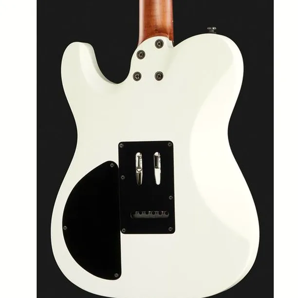 Harley Benton Fusion-T HH Roasted SW – Elgitarr Recension