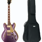 Harley Benton HB-35Plus Metallic Plum w/Bag – Elgitarr Recension