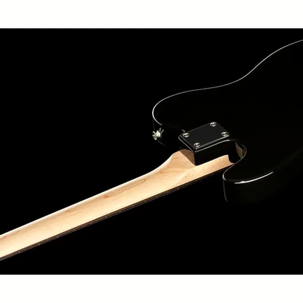 Harley Benton TE-20 BK Standard Series Set 3 – Elgitarr Recension