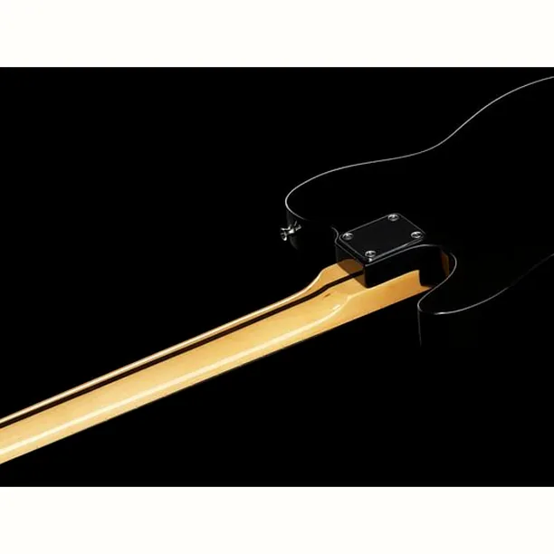 Harley Benton TE-70 Black Paisley – Elgitarr Recension