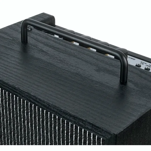 Ibanez IBZ10GV2 Test: Oslagbar i sin prisklass?