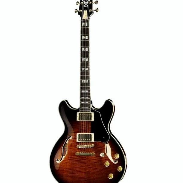 Ibanez JSM100-VT John Scofield – Elgitarr Recension
