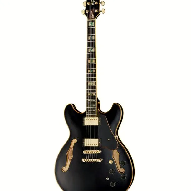 Ibanez JSM20-BKL – Elgitarr Recension