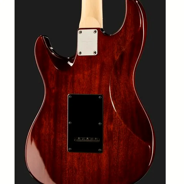 Larry Carlton S3 TS – Elgitarr Recension