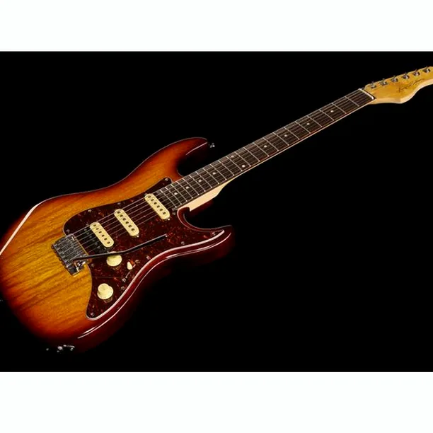 Larry Carlton S3 TS – Elgitarr Recension