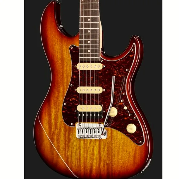 Larry Carlton S3 TS – Elgitarr Recension