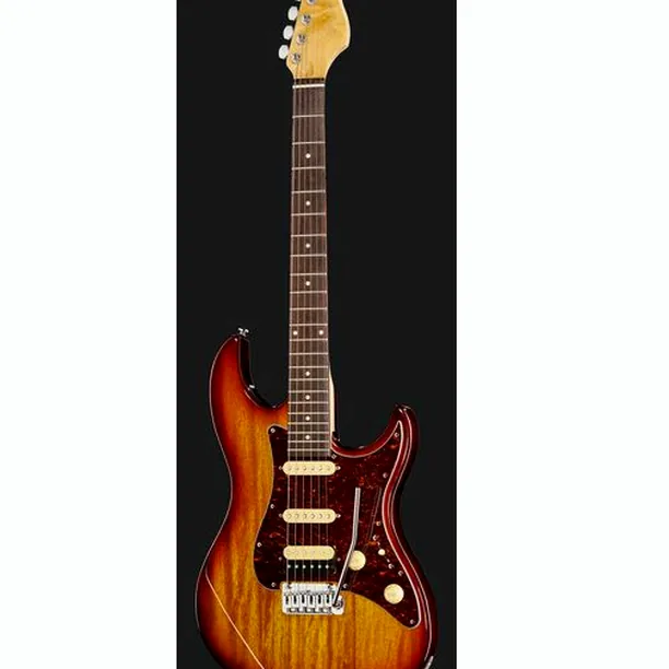 Larry Carlton S3 TS – Elgitarr Recension