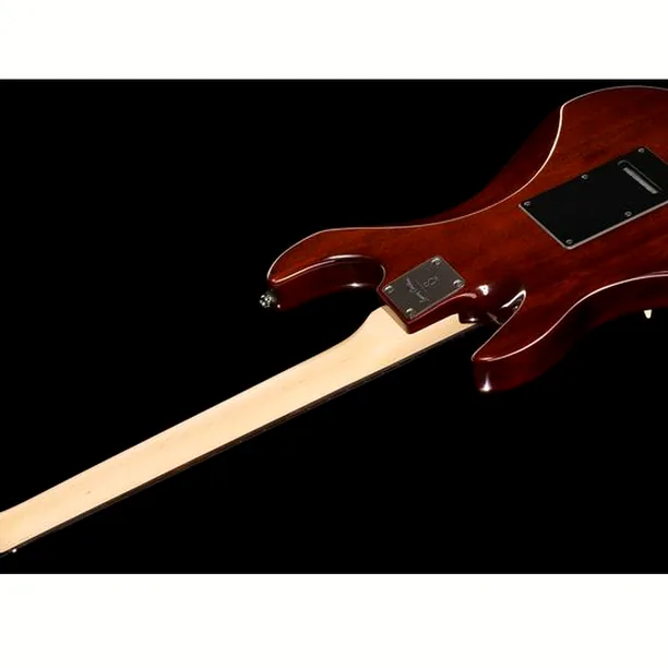 Larry Carlton S3 TS – Elgitarr Recension