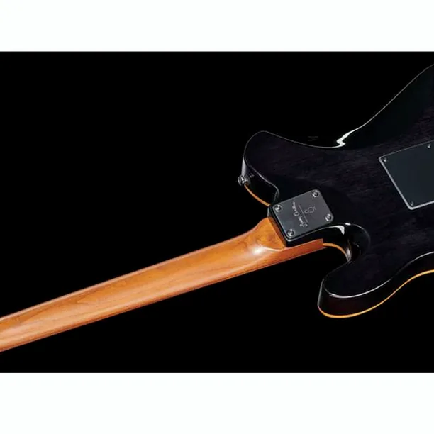 Larry Carlton T7 FM TBK – Elgitarr Recension