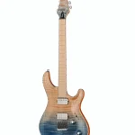 Mayones Guitars Regius Core 6 AMH – Elgitarr Recension