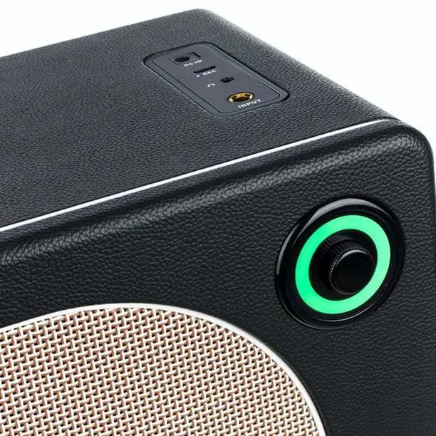 Mooer Hornet 30i Modeling Amp Black Test: Vinnaren i sin klass?