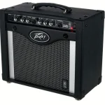 Peavey Rage 258 Test: Kraftfull nog för gig?