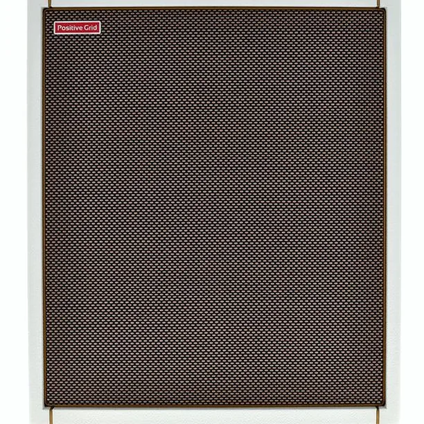 Positive Grid Spark CAB PW Recension: Bästa dealen för gitarrister?