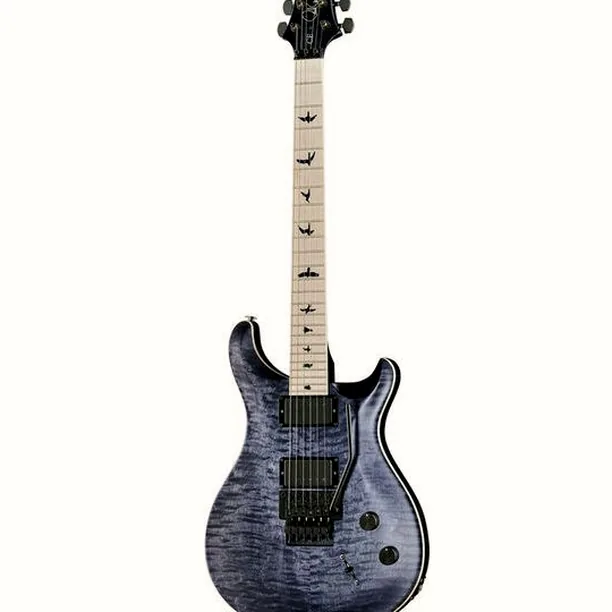 PRS CE 24 Dustie Waring Floyd GB – Elgitarr Recension
