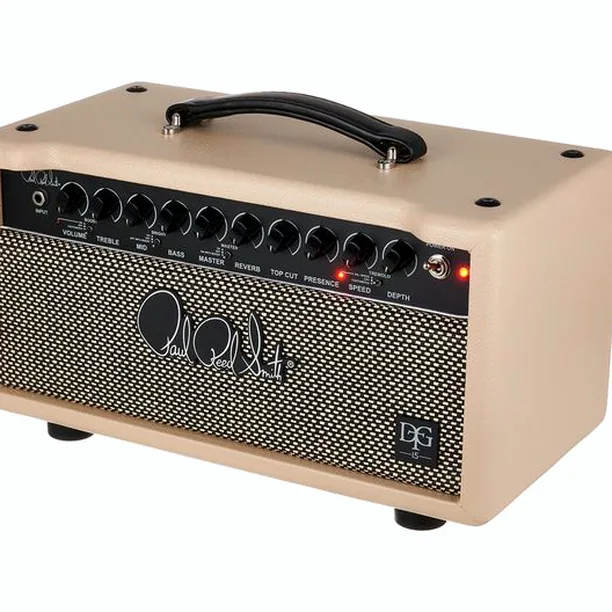 PRS DGT 15 Head Test: Kraftfull nog för gig?