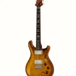 PRS DGT Birds MS – Elgitarr Recension