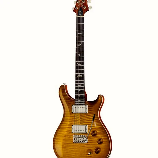 PRS DGT Birds MS – Elgitarr Recension