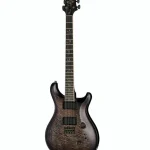 PRS Mark Holcomb Wraparound Burst – Elgitarr Recension