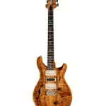 PRS PS Special SH Natural – Elgitarr Recension
