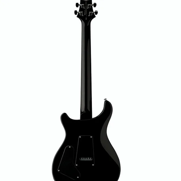 PRS SE Custom 24 Quilt BG – Elgitarr Recension