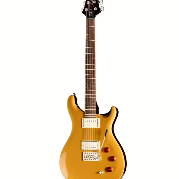 PRS SE DGT Gold Top – Elgitarr Recension