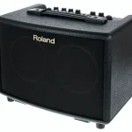 Roland AC-33 Recension: Äntligen testad!