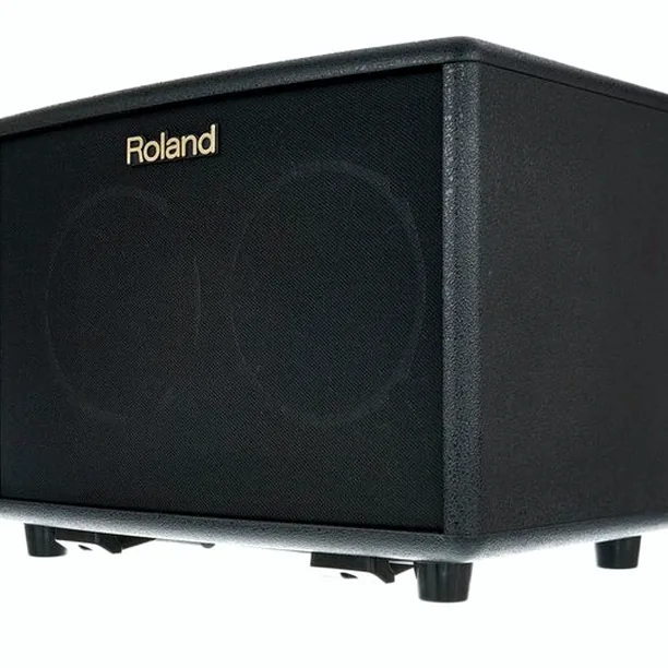 Roland AC-33 Recension: Äntligen testad!